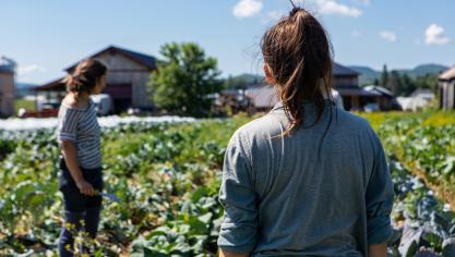 Plus de 200 activités permettront de découvrir l’agriculture bio, mais aussi celles et ceux  qui sont actifs en aval, dans la transformation, la commercialisation...