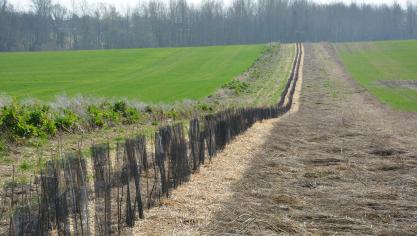 En vue de soutenir la transition agroécologique en Wallonie, huit actions et quatre objectifs ont été fixés, pour une période de quatre ans.