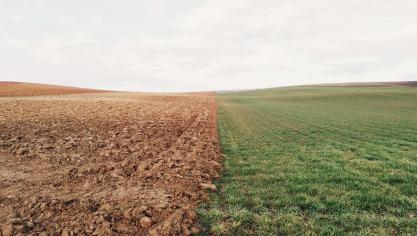 En 2022 la dérogation aux règles sur la rotation des cultures et les terres non productives  a été accordée en urgence au mois de mars mais n’a pas pleinement pu être déployée.