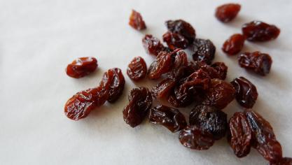 raisin-gcaea425b0_1920