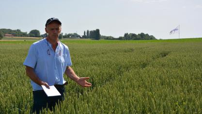 Syngenta mène des essais visant à mettre au point un T1 efficace contre la rouille jaune  en froment. « Nous ne sommes pas en mesure de commercialiser un nouveau fongicide  cette année mais nous devrions y parvenir d’ici peu », commente Christian Walravens.