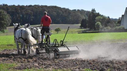 Le cheval de travail en agriculture de petite échelle.