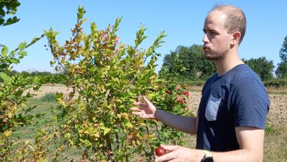 Le volet agroforesterie du projet wallon Agriculture, biodiversité,  Climat est conduit par Géraud de Streel.