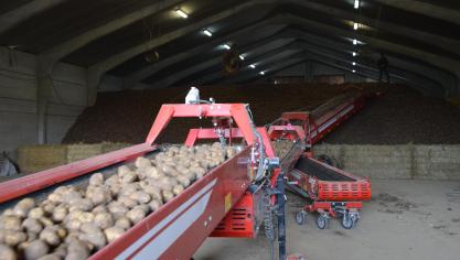 En fonction des gains de croissance finaux, la production devrait varier entre 20 et 21 millions de tonnes dans la zone NEPG.