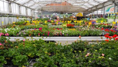 Les jardineries et les pépiniéristes/horticulteurs sont les canaux de distribution  les plus cités par les répondants à l’enquête.