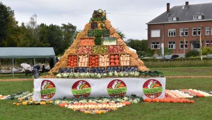 L’horticulture est un secteur qui compte dans le paysage de notre région, que ce soit  en superficies, 23.600 hectares, soit 3,2% de la SAU wallonne qu’en main d’œuvre,  domaine dans lequel elle est particulièrement gourmande.