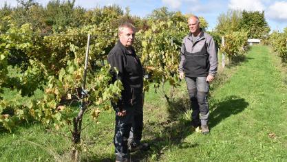 Laurent Delpierre, familier de la culture de raisins de table depuis son enfance, et Alain Rondia, viticulteur amateur, sont deux références au sein du Cra-w pour orienter les producteurs désireux de se diversifier dans la vigne.