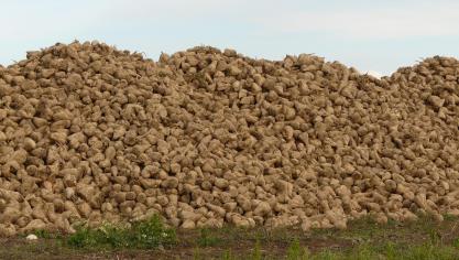 La CGB s’oppose à la proposition de révision de la réglementation sur les produits  phytosanitaires faite par la commission prévoyant des réductions « drastiques »  de 50 % d’ici 2030, et ce « sans étude d’impact pour l’agriculture et l’économie ».