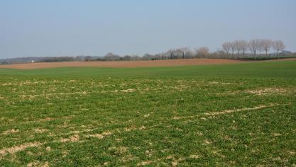 L’accès à la terre reste l’un des principaux freins rencontrés  par les jeunes désireux de s’installer en agriculture.