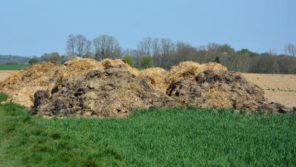 Parmi les changements, on retiendra notamment que le stockage des fumiers  sur une surface perméable (anciennement « au champ ») ne peut plus durer  que maximum 9 mois contre 10 mois précédemment.