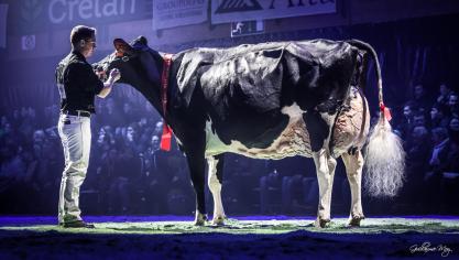 Dandy 6265 (p.Long P), à Schweigen J. (Goesdorf, Luxembourg), s’adjuge le titre de grande championne de la Nuit de la Holstein 2023.