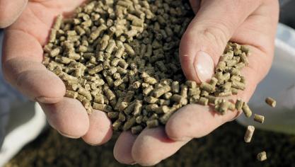 En rachetant ForFarmers Belgium, Arvesta reprend environ 80 employés qui produisent et vendent environ 420.000 tonnes d’aliments pour animaux.