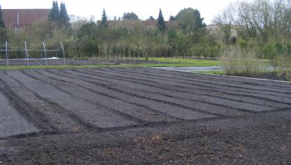 Un sol roulé avant le semis facilité le semis proprement dit.
