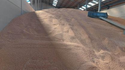 Les céréales ne peuvent être stockées dans un hangar dans lequel d’autres productions ont été stockées et pour lesquelles des produits non agréés en céréales ont été utilisés.