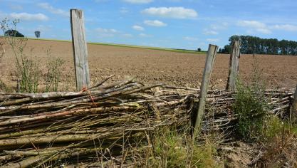Outre une dérogation pour les « petites parcelles », il est question de faire valider  par un expert indépendant l’ensemble des aménagements et des modes  de cultures déjà mis en œuvre par les agriculteurs pour lutter contre l’érosion.