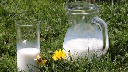 milk-g880aa0012_1280