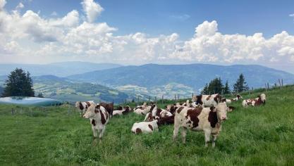 IMG-20230604-WA0018