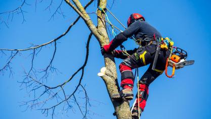 Parmi les 64 participants, 2 sont des élèves de 7ème professionnelle  « Arboriste Grimpeur Élagueur » de l’Ipes Ath.