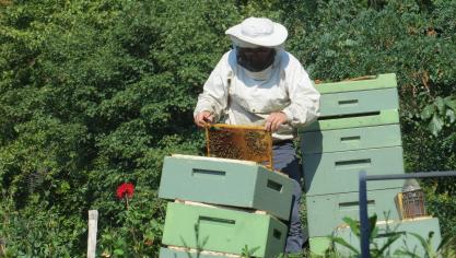Selon plusieurs ministres européens  de l’Agriculture, la commission aurait  dû introduire dans sa proposition une obligation d’indication du pourcentage de chaque origine dans les mélanges de miels.