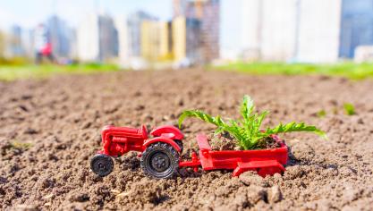 AdobeStock_590719783