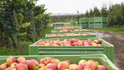La Belgique a réclamé à de nombreuses reprises une aide  pour ses producteurs de pommes et de poires.