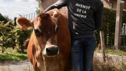 C’est le beurre au lait cru de la Ferme France qui a terminé à la première place  du concours.