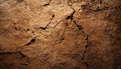 AdobeStock_30716197