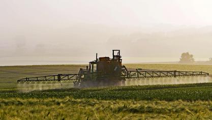 Les conclusions de l’Efsa devraienten théorie ouvrir la voie au renouvellement de l’herbicide dont l’autorisation arrive à échéance en fin d’année. Mais c’est sans compter sur la dimension politique et médiatique qui entoure ce dossier.