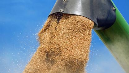 La commission a annoncé une récolte de 271 millions de tonnes de céréales pour 2023, soit 2,4% de plus qu’en 2022 qui était toutefois la plus faible des dix dernières années.