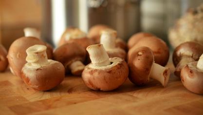 mushrooms-756406