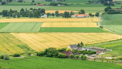 Le Conseil d’État estime que les règles relatives à l