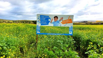 40 panneaux ont été dispersés à travers la Wallonie.
