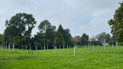 Avant l’arrivée des vignes, les pommiers sont déjà plantés sur la parcelle voisine.