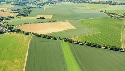 paysage agri