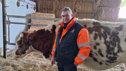 Le refuge s’est développé pour accueillir également des vaches, cochons, moutons...