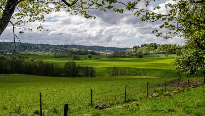 Le budget agricole annuel s’élève à 2,4 milliards de livres sterling par an.