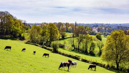 La présidence belge espère faire avancer quelque peu le dossierdu règlement sur l’utilisation durable des pesticides qui a été rejeté par le parlement européen l’année dernière.
