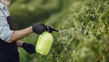 Aucune relation causale entre l’exposition professionnelle aux pesticides et le syndrome de Parkinson ou la maladie de Parkinson n’a pu jusqu’à présentêtre établie.