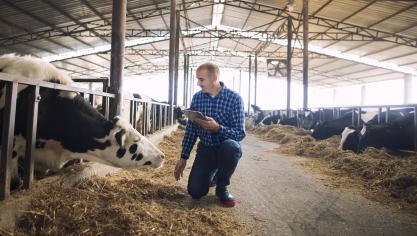 Selon cette confédération qui représente 21 organisations issues de 16 pays européens, dont deux en Belgique, plusieurs éléments démontrent la fragilité actuelle du secteur agricole.