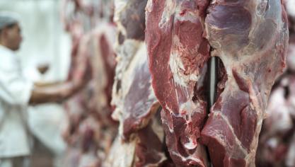 Le marché de la viande en Europe connaît des changements variés, avec des  différences importantes dans les prix et la quantité produite selon les pays.