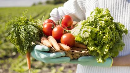 Les agriculteurs bio sont contraints de vendre certains produits aux mêmes prix que les denrées conventionnelles aux enseignes, qui les revendent ensuite plus chers.