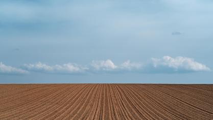 Comme pour les prix des terres agricoles, les loyers varient, s’établissant en moyenne à 233€/ha dans l’UE.
