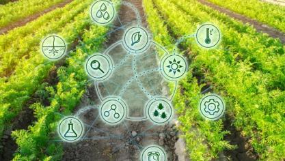 Le texte vise à exempter une partie des variétés issues des «nouvelles techniques génomiques» (NGT) des règles encadrant les organismes génétiquement modifiés (OGM).