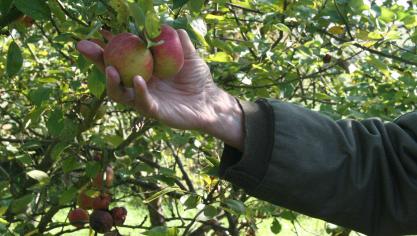 Les jardiniers cultivant des fruitiers ou souhaitant se lancer dans l’implantation de vergers sont les bienvenus à ces rencontres.