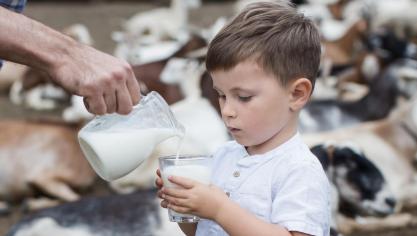 En France, malgré l’inflation, la consommation de produits laitiers a résisté en 2023.