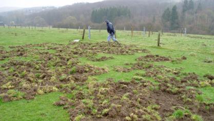 Le logiciel aide les experts agronomes à estimer au plus juste le montant des dégâts de la faune sauvage.