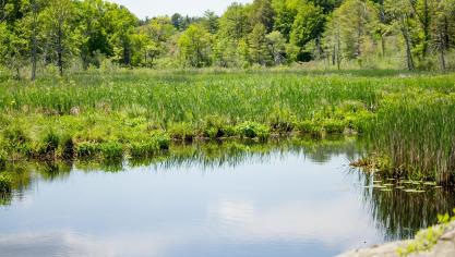 L’agriculteur peut consacrer 7% à des zones ou des éléments non productifs dans le cadre de l’éco-régime « maillage écologique »  dont 3% à des zones ou éléments non productifs.