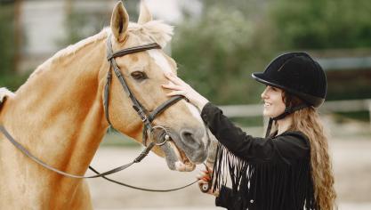 Ce salon est destiné aux professionnels, amateurs et passionnés d’équitation, qu’ils soient petits ou grands.