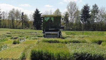 La vue d’une récolte à l’Haldrup de parcelles de ray-grass italiens testés en régime de fauche sur le site de Michamps entre 2016 et 2018.