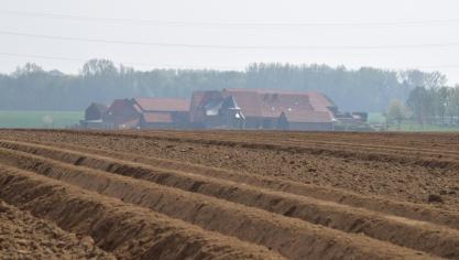 Il s’agit d’intentions de plantation qui seront sans doute affectées par les conditions difficiles actuelles.